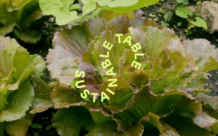 Sustainable Table