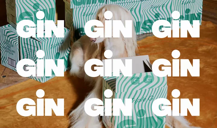Triple G Gin