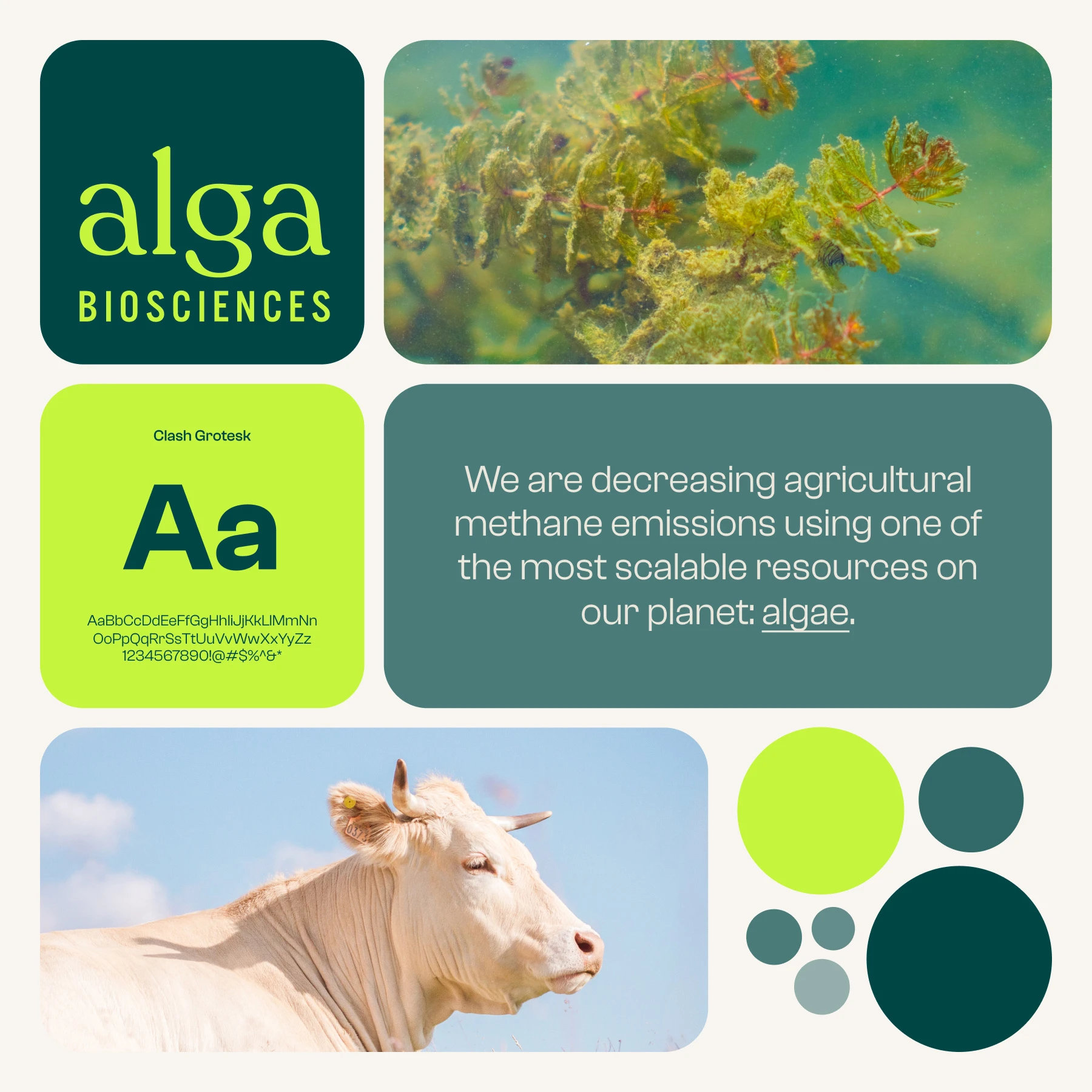 Alga Biosciences