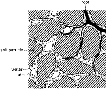 CroBio