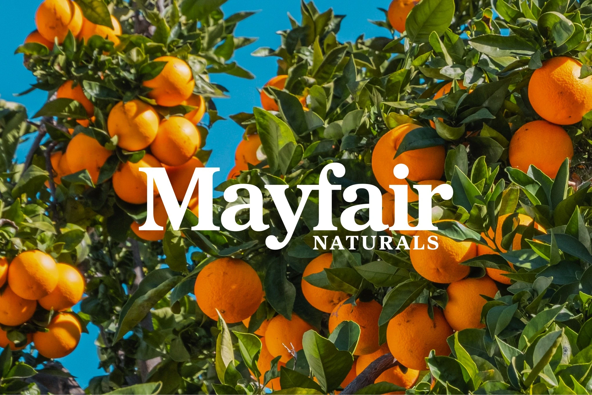 Mayfair Naturals