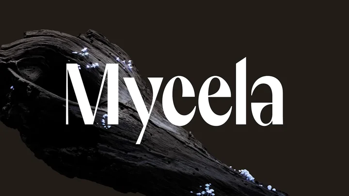 Mycela