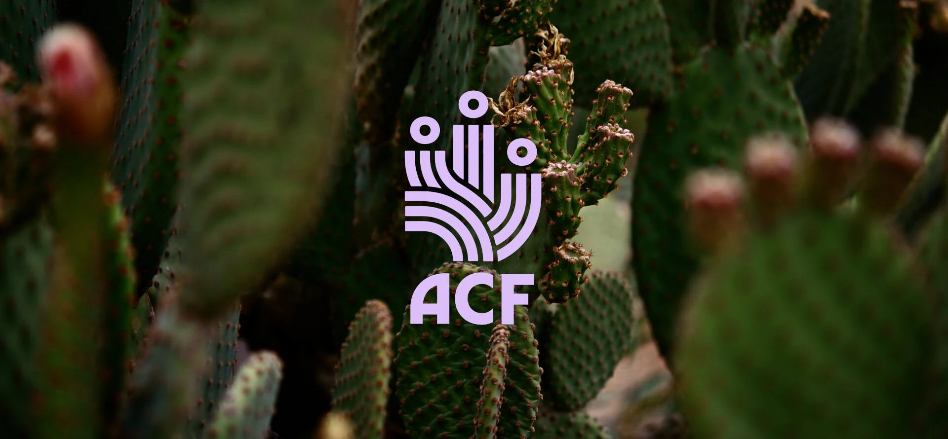 Aruba Conservation Foundation
