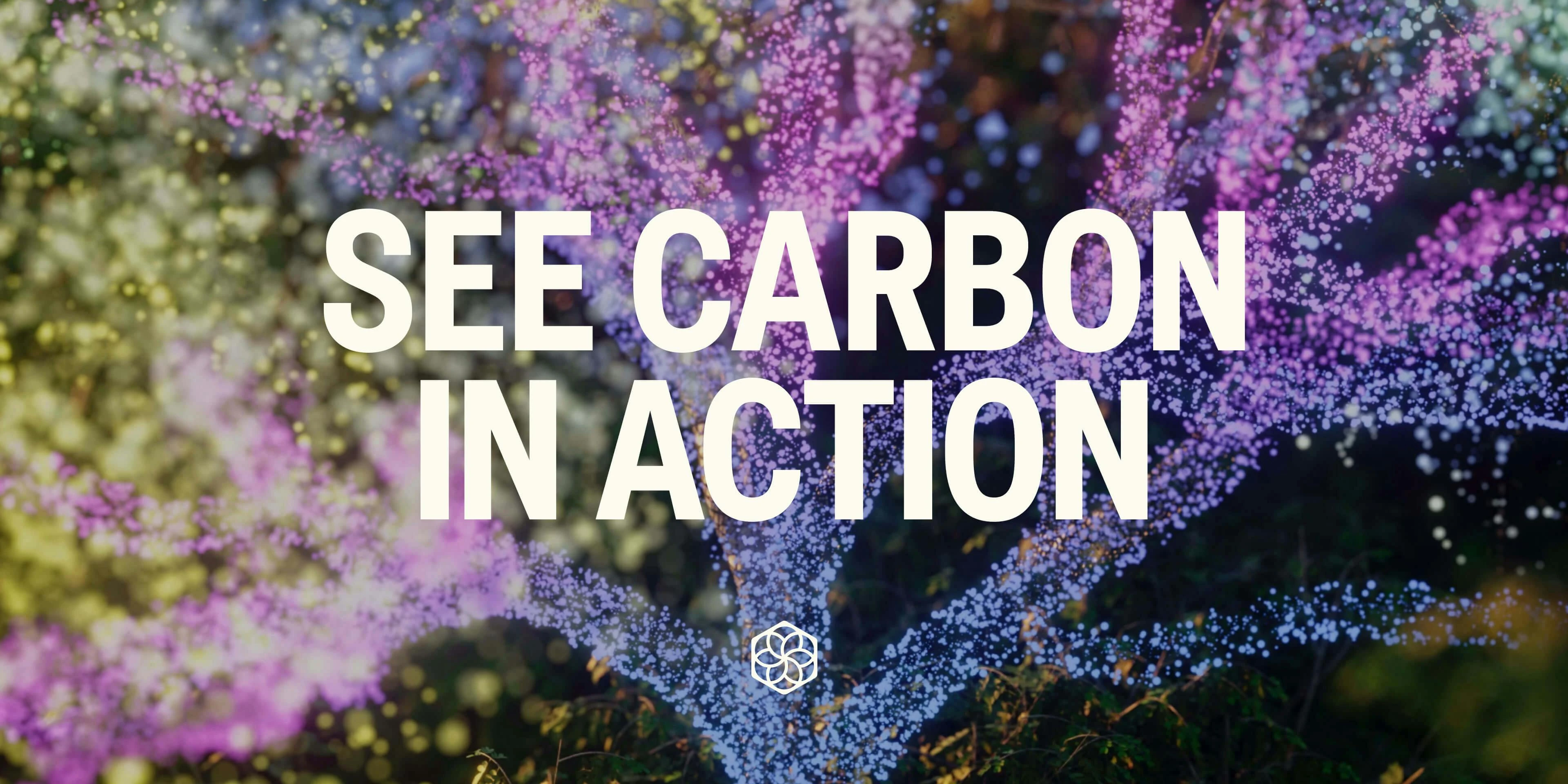 Pachama