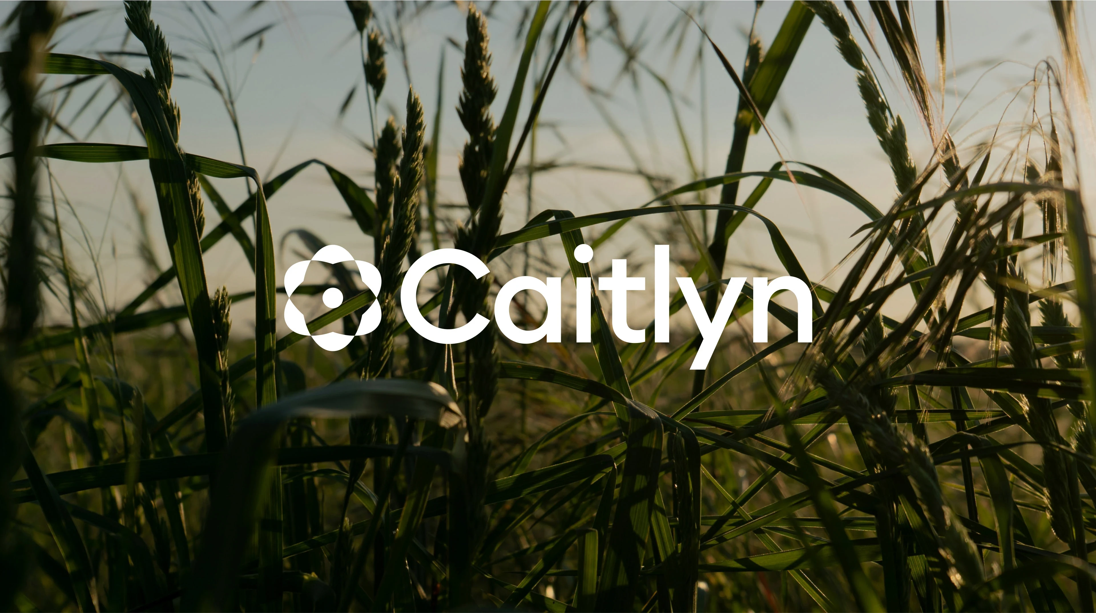 Caitlyn
