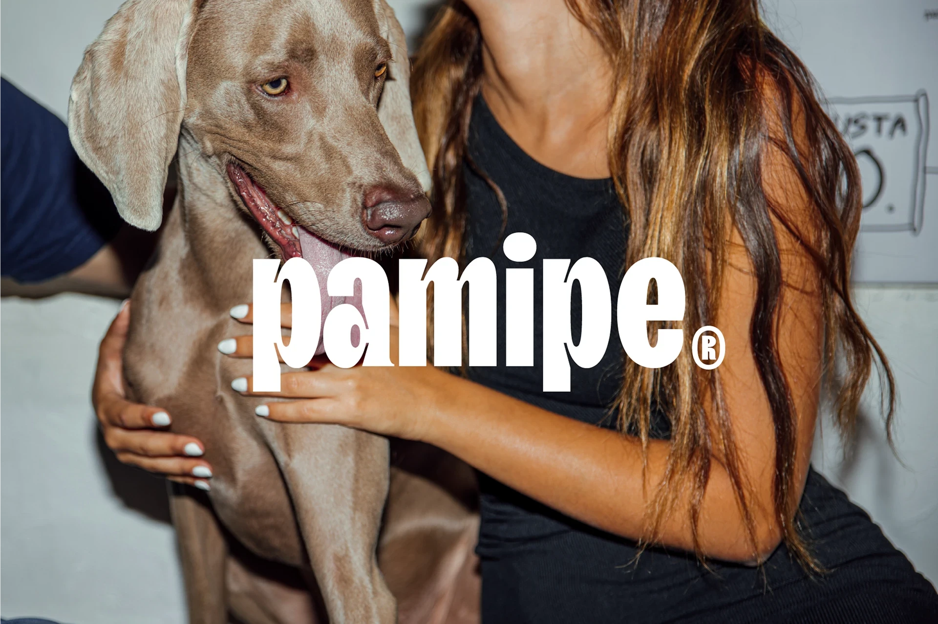 PAMIPE - Brand Identity