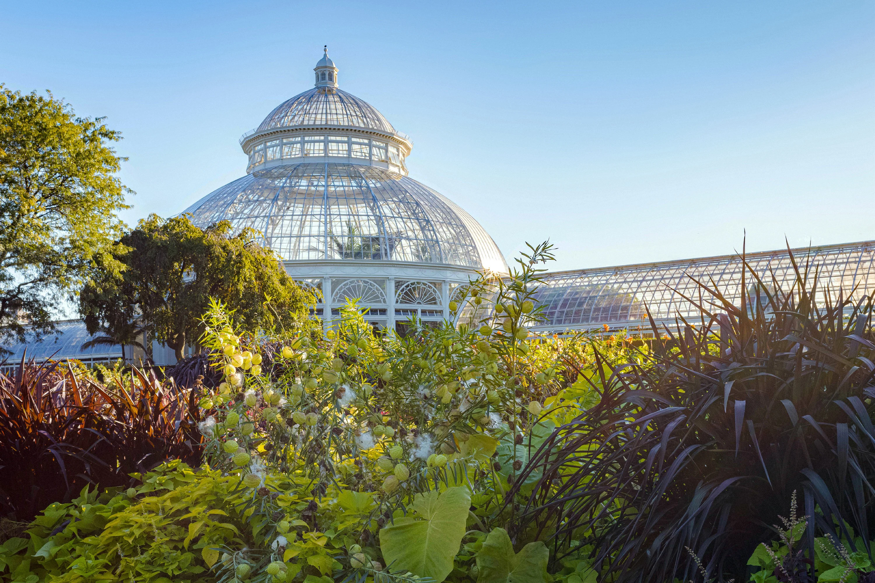 New York Botanical Garden
